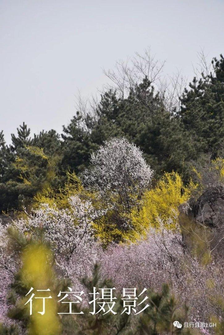 首破6万亿!四川两年再迈万亿台阶 稳住经济大省位次